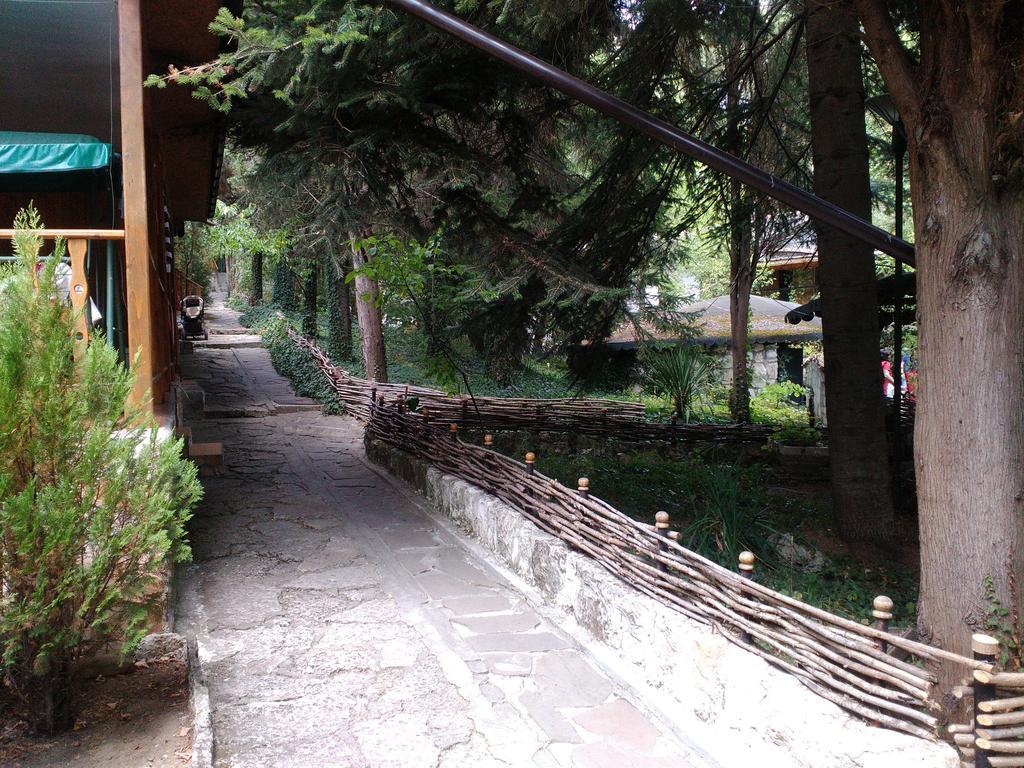 Nimpha * Kamchia (Varna)